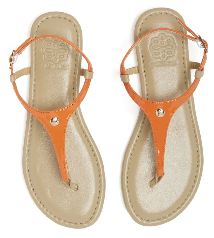 Burnt Orange