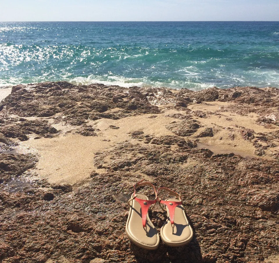 Coral Patent